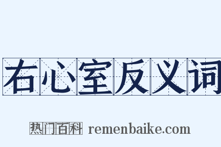 右心室反义词是什么意思的图片